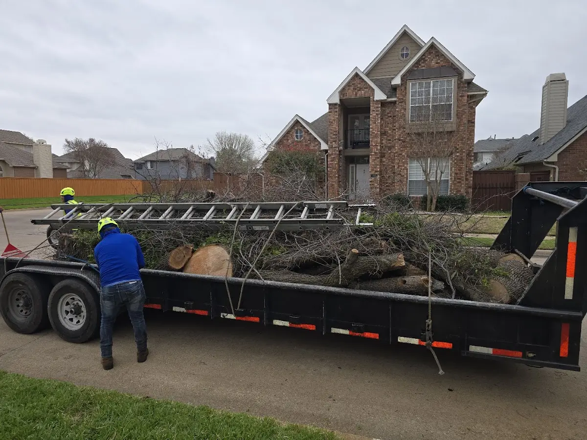 Expert Lot Clearing with proper safety equipment in Venango